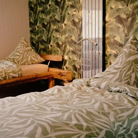 דירה Gut Nuexei באד סקסה