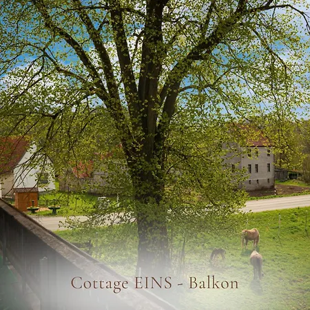 דירה Gut Nuexei *